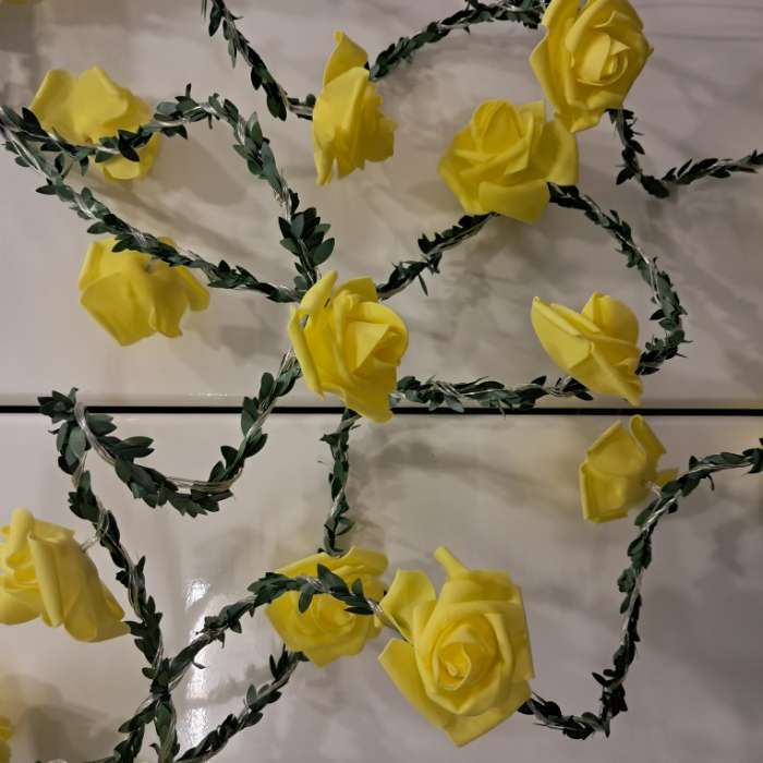 Фотография покупателя товара Гирлянда «Нить» 5 м с насадками «Розы оранжевые», IP20, прозрачная нить, 20 LED, свечение тёплое белое, 220 В - Фото 1