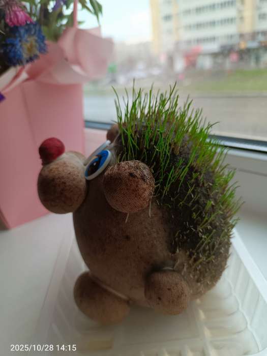 Фотография покупателя товара Набор для выращивания «ЭкоЖивчик. Ёжик», фигурка растущая в подарочной упаковке - Фото 4