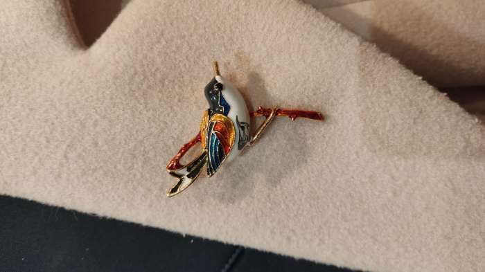 Фотография покупателя товара Брошь «Птичка» чижик, цветная в золоте - Фото 1
