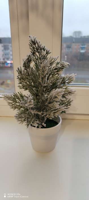 Фотография покупателя товара Искусственная ёлка настольная «Зимнее волшебство. Снег» в горшочке, 20 см, ветки ПВХ отгибаются - Фото 1