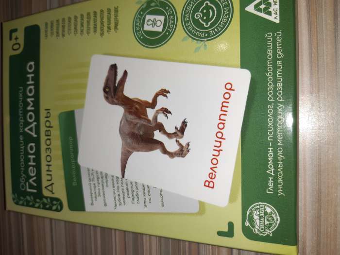 Фотография покупателя товара Обучающие карточки по методике Глена Домана «Динозавры», 12 карт, А6, в коробке - Фото 1