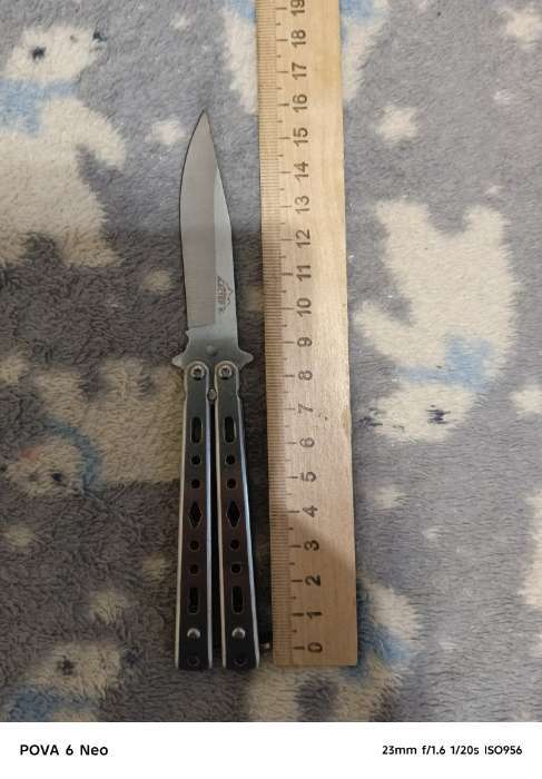 Фотография покупателя товара Нож-бабочка «Аргус», 17 см, клинок 69 мм/1 мм, серебристый - Фото 4