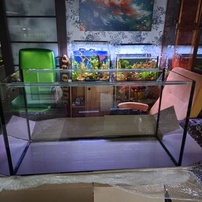 Фотография покупателя товара Аквариум «Прямоугольный» без крышки, 220 л, 100×40×55 см - Фото 6