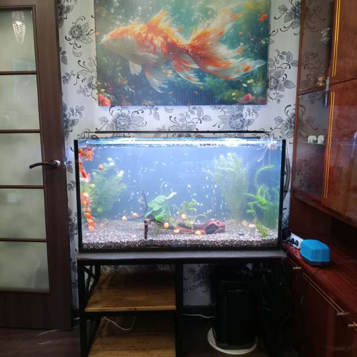 Фотография покупателя товара Аквариум «Прямоугольный» без крышки, 220 л, 100×40×55 см - Фото 8