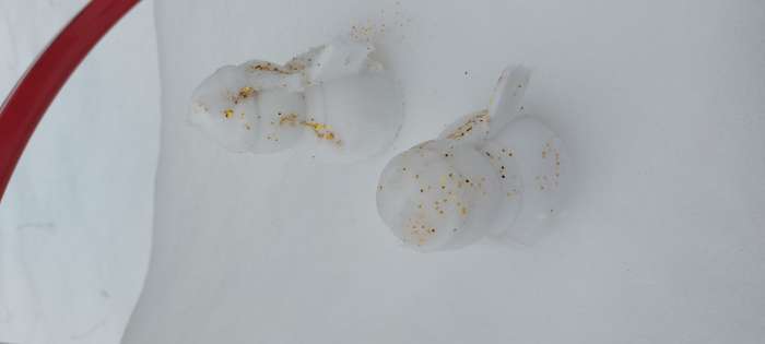 Фотография покупателя товара Новогодний снежколеп-песколеп «Снеговик», 33 × 9 × 11 см + блёстки 5 г, МИКС, на новый год