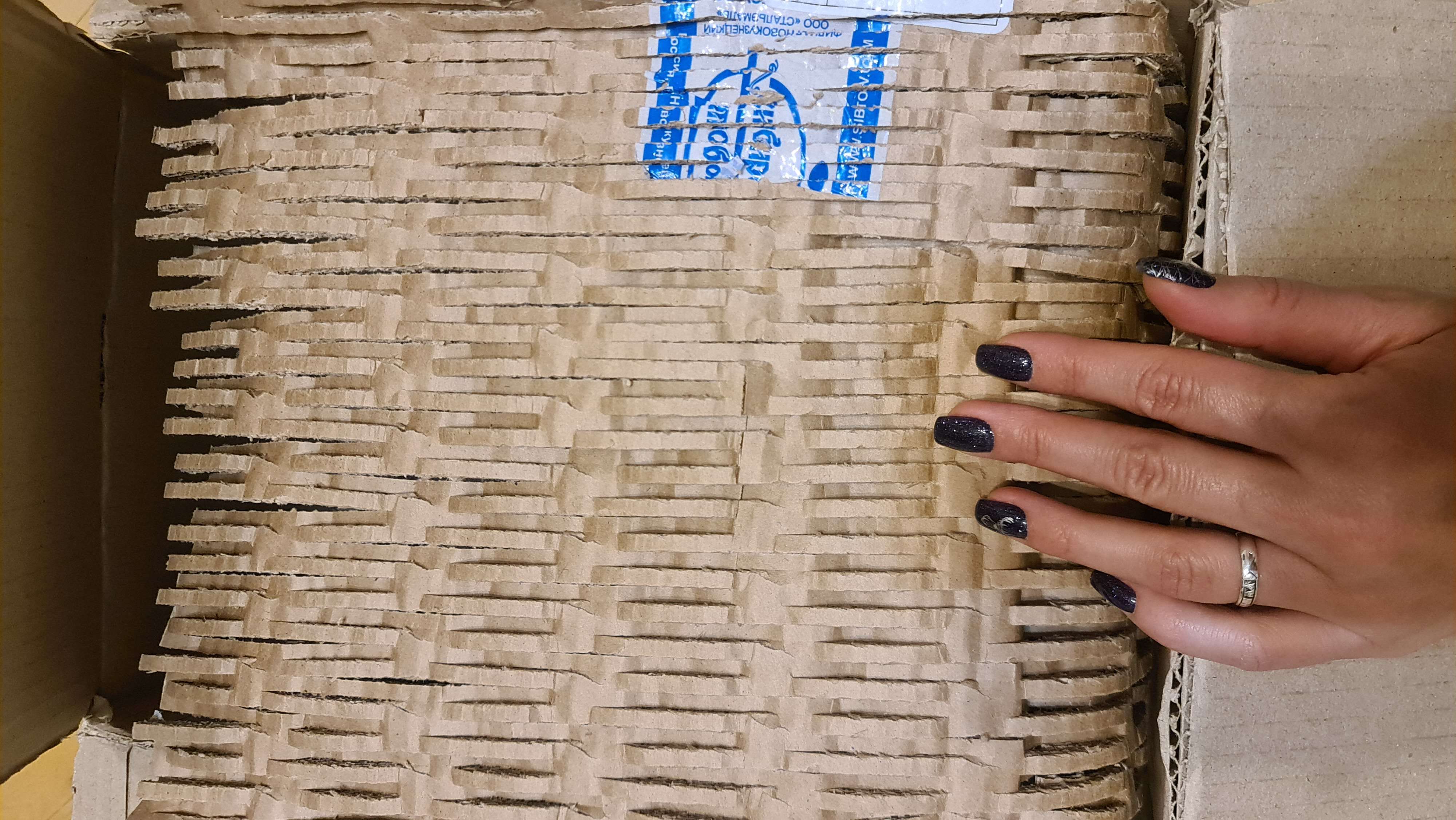 Фотография покупателя товара Менажница фарфоровая 4 ячейки Magistro «Листочки», 27×4 см, цвет белый - Фото 3