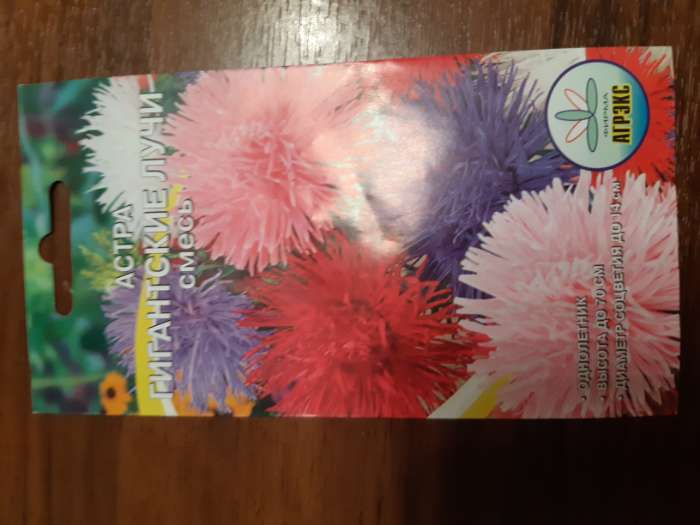 Фотография покупателя товара Семена цветов однолетние Астра Гигантские лучи Смесь 0,2 - Фото 1