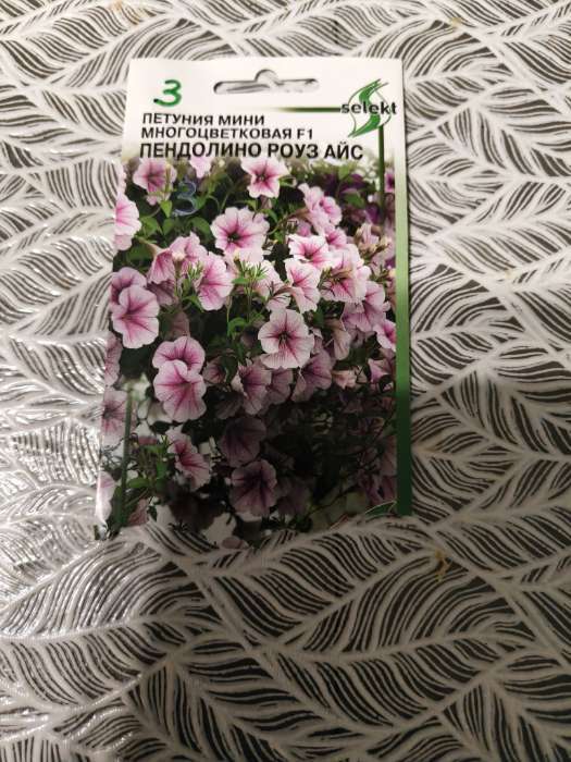 Фотография покупателя товара Семена цветов Петуния мини многоцветковая «Пендолино Роуз Айс», F1, 5 шт., «Дом семян» - Фото 6