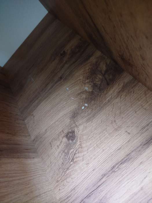 Фотография покупателя товара Шкаф пенал для кухни «Ника», 600×576×2132 мм, бежевый софт МДФ, дуб вотан - Фото 5