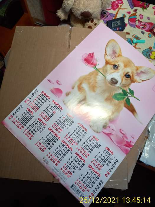 Фотография покупателя товара Календарь листовой А3 "Собаки 2022 - 4" - Фото 1