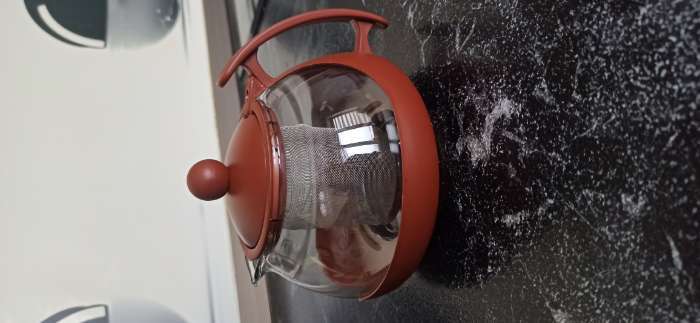 Фотография покупателя товара Заварочный чайник «Фантазия», 750 мл, с металлическим ситом, стекло, МИКС - Фото 3