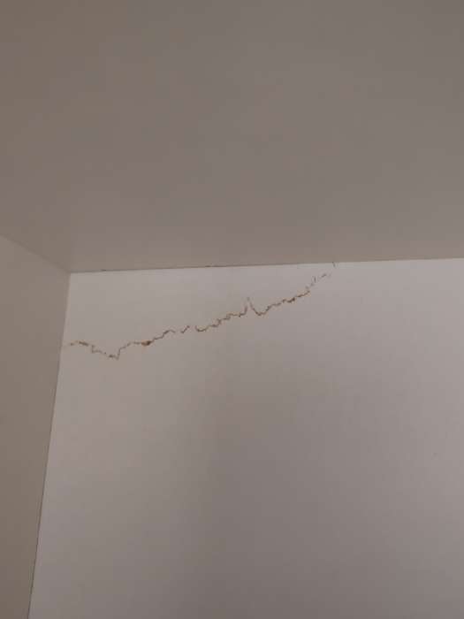 Фотография покупателя товара Шкаф прямой трёхстворчатый «Норд», 1200×510×2236 мм, белый глянец - Фото 80