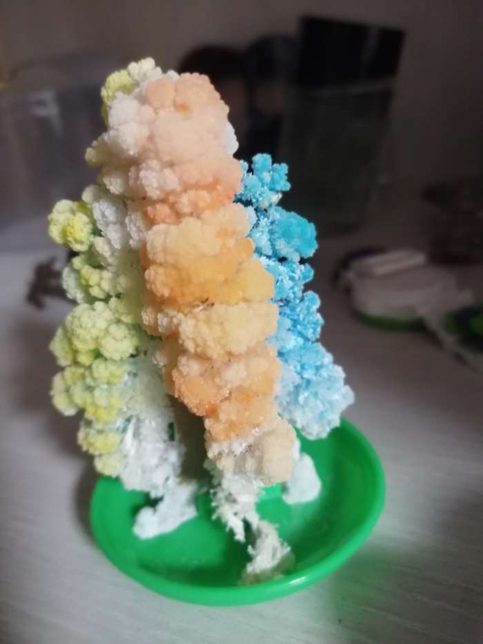 Фотография покупателя товара Набор для выращивания кристалла «Волшебное дерево» цвет разноцветный - Фото 53