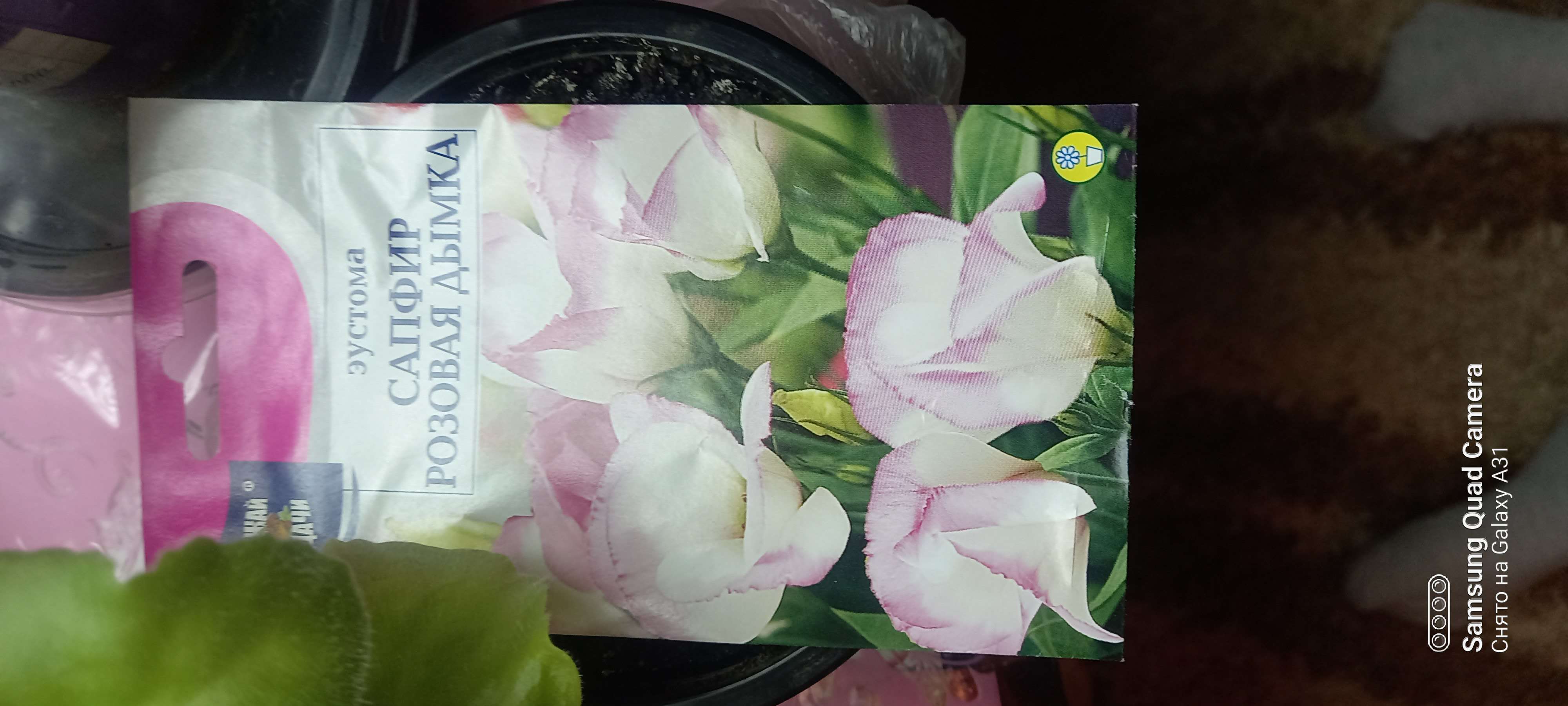 Фотография покупателя товара Семена цветов Эустома сапфир "Розовая Дымка", 5 шт