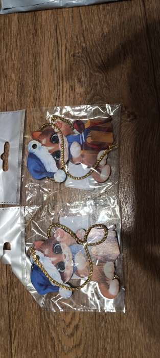 Фотография покупателя товара Ёлочная игрушка - подвеска деревянная «Новый год! Милые дракоши» - Фото 1