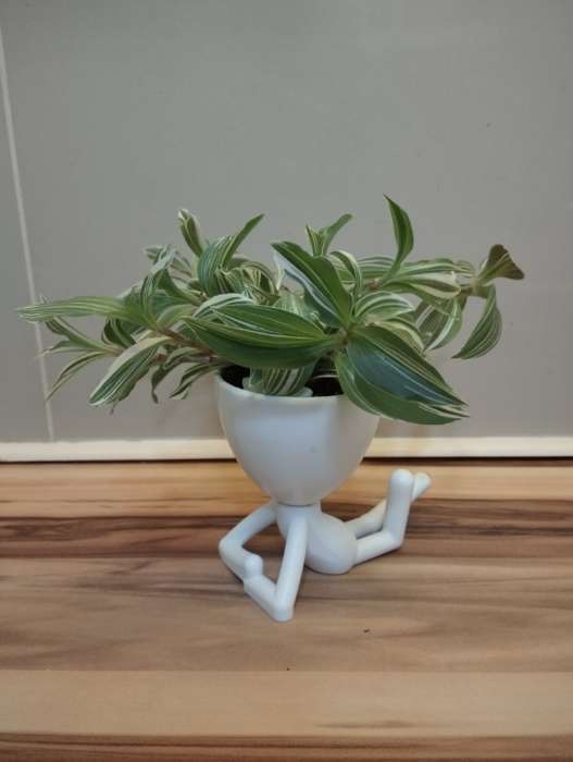 Фотография покупателя товара Стабилизированный мох в кашпо пластиковом «Мистер Грин на лайте», 9.7×12×7.3 см, белый - Фото 2