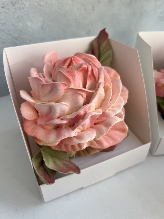 Фотография покупателя товара Коробка для 1 капкейка с прозрачной крышкой, 10.5×10.5×10 см, кондитерская упаковка - Фото 5