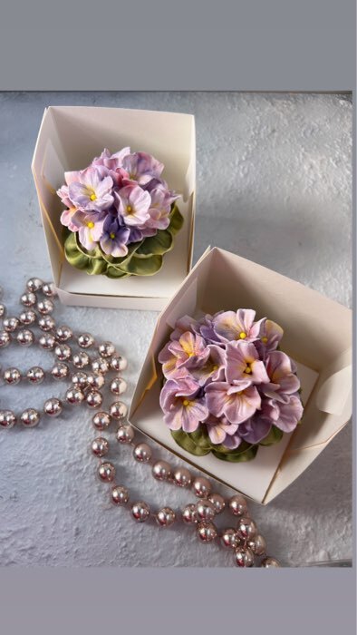 Фотография покупателя товара Коробка для 1 капкейка с прозрачной крышкой, 10.5×10.5×10 см, кондитерская упаковка - Фото 4