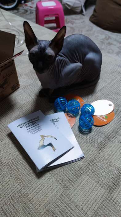 Фотография покупателя товара Ветеринарный паспорт международный универсальный, 28 страниц, под светлую кожу - Фото 1