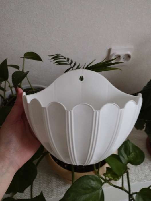 Фотография покупателя товара Кашпо для цветов настенное «Хризантема», 1 л, 9.5×8.5×15.3 см, белое - Фото 1